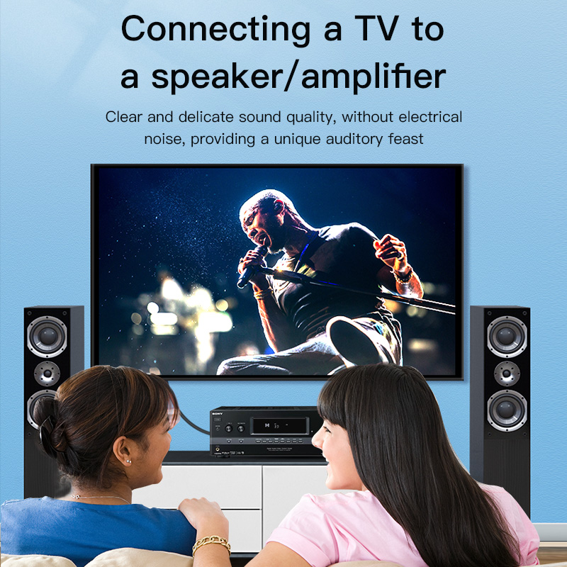 Cable RCA CHOSEAL, Cable de Au - Home Cinema Heos reseña y precio